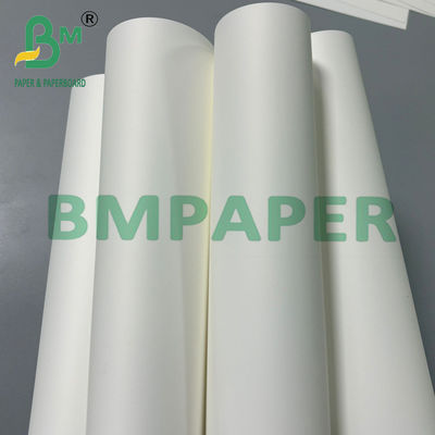 Papel sintético PET duplo revestido de 200um para cartões de visita 70 * 100cm