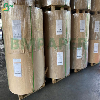 Kit3 Kit5 Kit7 Papel à prova de gordura degradável para embalagens de alimentos fritos