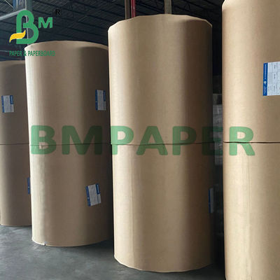 240g + 15g White Cup Stock Paper Virgin Pulp Material de qualidade alimentar