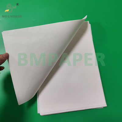 50 gm 328 mm Rolo de papel de resíduos de filtro de café de qualidade alimentar branco e marrom