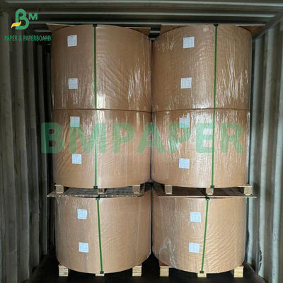 50 gm 328 mm Rolo de papel de resíduos de filtro de café de qualidade alimentar branco e marrom