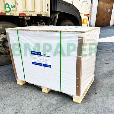 230 g 250 g Papel absorvente de água para tabuleiro