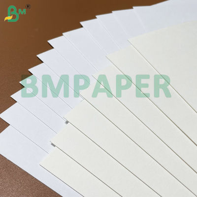 230 g 250 g Papel absorvente de água para tabuleiro