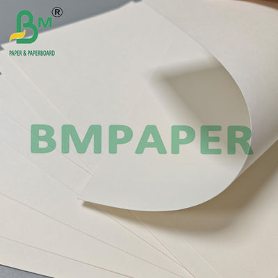 210 gm 230 gm Biodegradável Copo de chá de café quente Papel matéria-prima