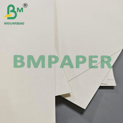 210 gm 230 gm Biodegradável Copo de chá de café quente Papel matéria-prima
