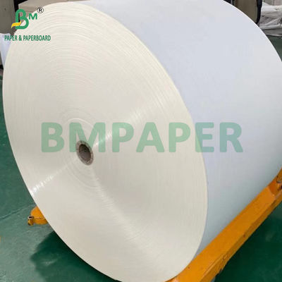 240gm + 18g PE revestido de papel Cupstock para esteiras resistente à água 650mm