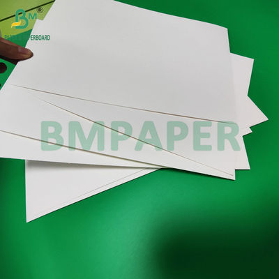 240gm + 18g PE revestido de papel Cupstock para esteiras resistente à água 650mm