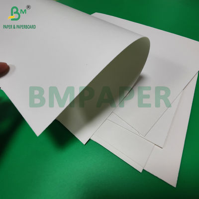 240gm + 18g PE revestido de papel Cupstock para esteiras resistente à água 650mm