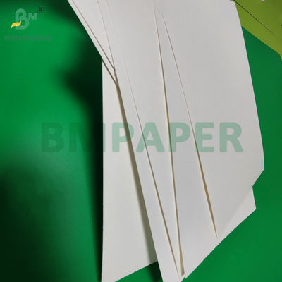 240gm + 18g PE revestido de papel Cupstock para esteiras resistente à água 650mm