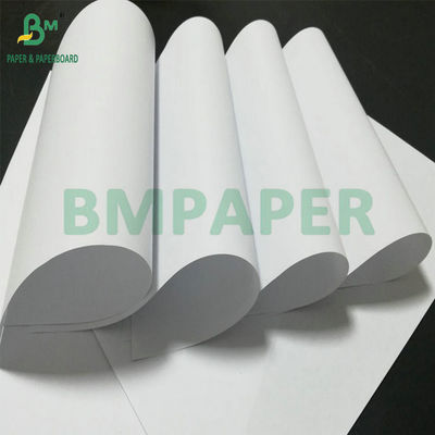 Papel sem madeira para composição ou livros temáticos
