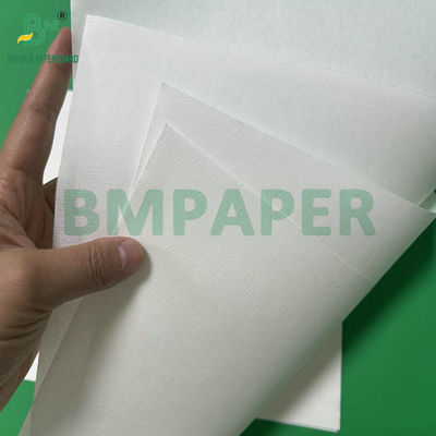 50 gramas Papel de filtros de café de pasta de bambu com rolos de jumbol Largura 308 mm Cor branca