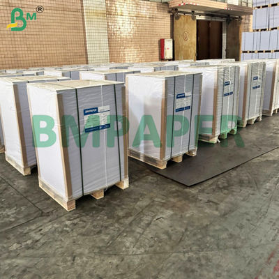 Papel de recipiente branco resistente a líquidos com revestimento de polietileno de um lado