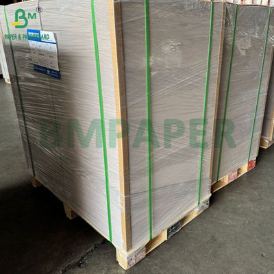 450 gm 400 gm C1S Papel revestido de argila com parte traseira cinzenta de 22 &quot;x 24&quot; folhas