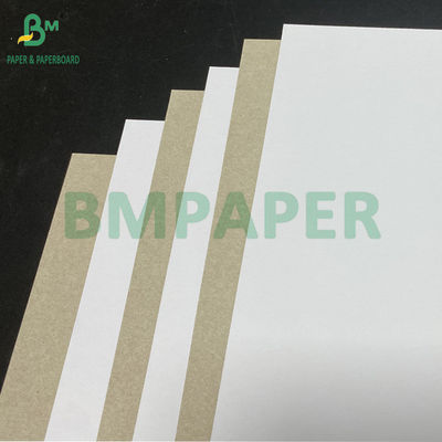 450 gm 400 gm C1S Papel revestido de argila com parte traseira cinzenta de 22 &quot;x 24&quot; folhas