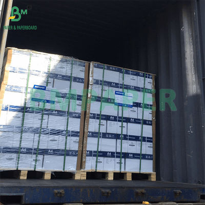 48-80gm Preto Exibindo CF Azul Papel de cópia sem carbono A4 e tamanho de letra