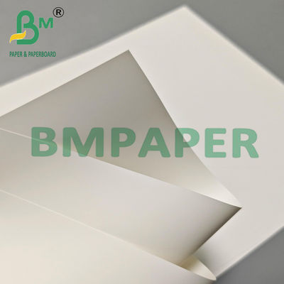 Folha de papel sintético PET ecológico de 100 mm para publicidade ao ar livre