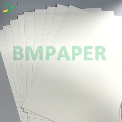 Single / Double Side PE Coated Cup Stock Paper Board 250g + 15gm para tigelas e copos
