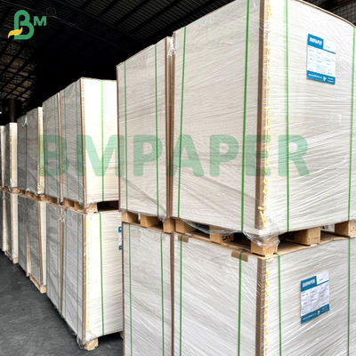 Single / Double Side PE Coated Cup Stock Paper Board 250g + 15gm para tigelas e copos