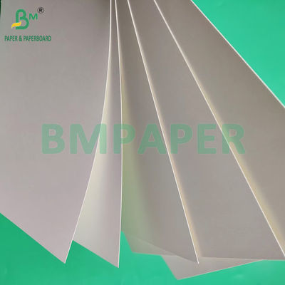 Papel de Copo Branco de Revestimento Mate em PE para Fabricação de Copo de Café