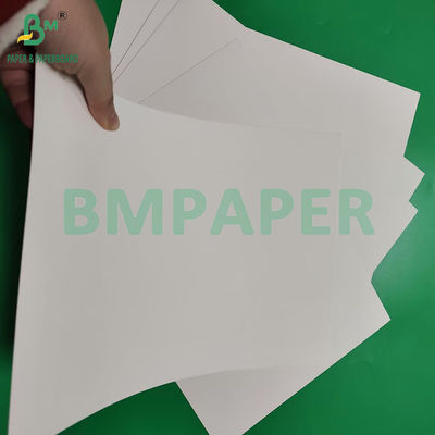 Papel de Copo Branco de Revestimento Mate em PE para Fabricação de Copo de Café