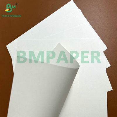 240g 260g Pulpa pura Impressão de Copo Papel para Fabricação de Copas de Café 90cm 105cm