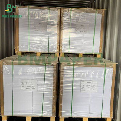 230 g - 300 g de PET de qualidade alimentar para fornos de alta temperatura