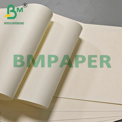 190g 210g 230g Papel de Copo descartável de qualidade alimentar Matéria-Prima para Chá Leite Café