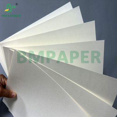 270 gm 286 gm Papel livre de plástico aquoso Para CUPP1S Impermeável 70 x 100cm
