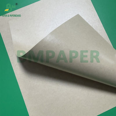 250g 300g Papel livre de plástico aquoso Copas de papel de tigela Feito de 100% de fibra de bambu