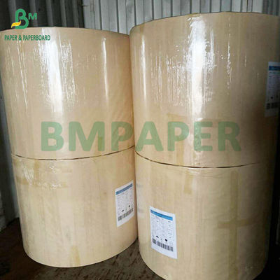 250g 300g Papel livre de plástico aquoso Copas de papel de tigela Feito de 100% de fibra de bambu