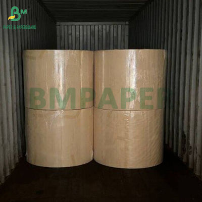 250g 300g Papel livre de plástico aquoso Copas de papel de tigela Feito de 100% de fibra de bambu
