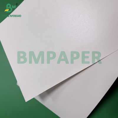 260g 280g + 10g Papel revestido aquoso biodegradável sem plástico para copos