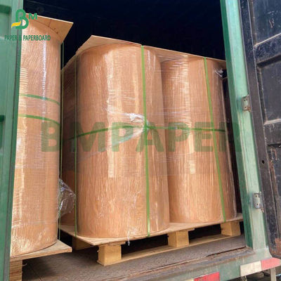 260g 280g + 10g Papel revestido aquoso biodegradável sem plástico para copos