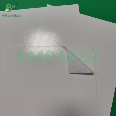 300+15gm Pe revestido brilhante de cartão branco de qualidade alimentar Embalagem Produtos congelados