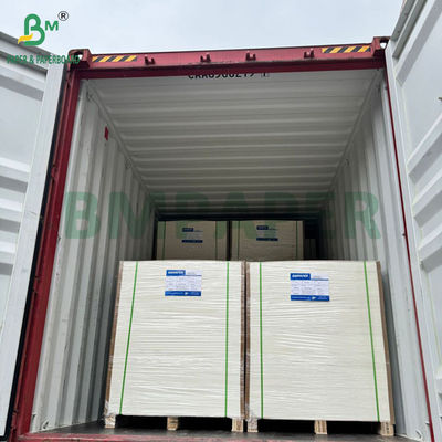 240g +15PE revestido 1 lado papel Cupstock para copos de bebida 31 x 43 polegadas impermeável 100%