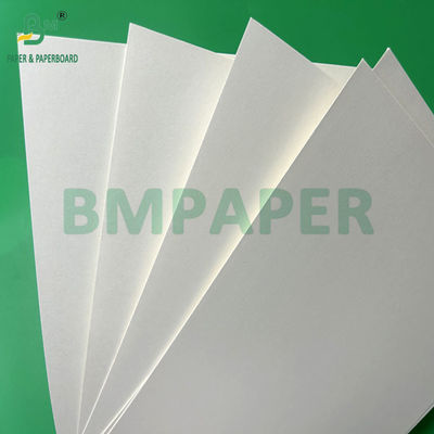 240g +15PE revestido 1 lado papel Cupstock para copos de bebida 31 x 43 polegadas impermeável 100%