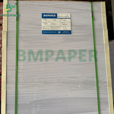 240g +15PE revestido 1 lado papel Cupstock para copos de bebida 31 x 43 polegadas impermeável 100%