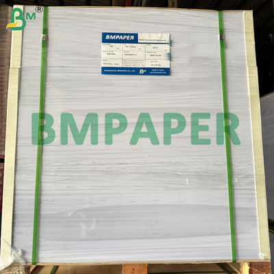 Revestimento em PET Recipiente seguro para alimentos Papel resistente à temperatura para reaquecer alimentos