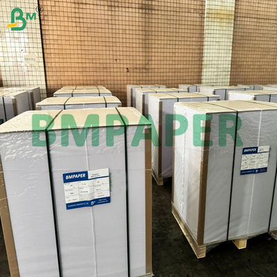 Revestimento em PET Recipiente seguro para alimentos Papel resistente à temperatura para reaquecer alimentos