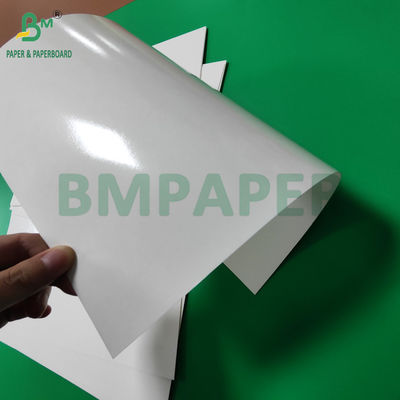 300 g de PET laminado em bandeja de papel para alimentação rolos de papel 635 mm de alta temperatura