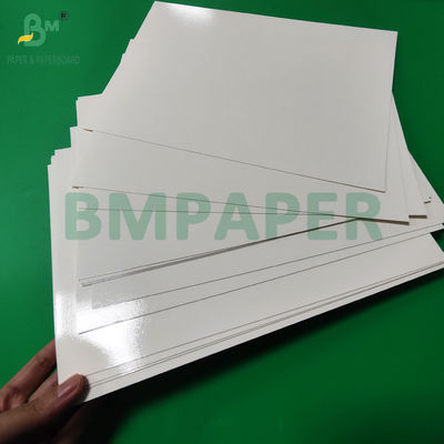 300 g de PET laminado em bandeja de papel para alimentação rolos de papel 635 mm de alta temperatura