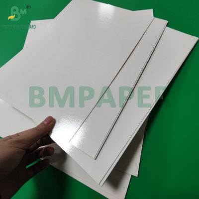 300 g de PET laminado em bandeja de papel para alimentação rolos de papel 635 mm de alta temperatura