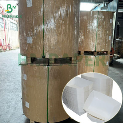 300 g de PET laminado em bandeja de papel para alimentação rolos de papel 635 mm de alta temperatura