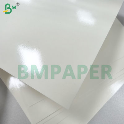 Microondas e forno PET revestimento de papel de taça Boa selagem