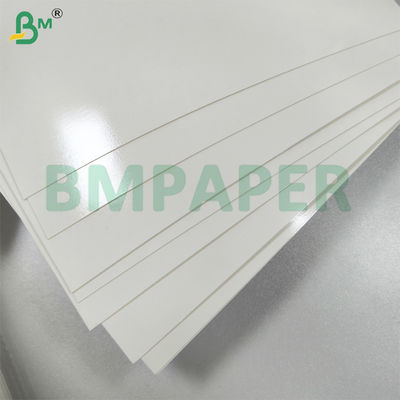 Microondas e forno PET revestimento de papel de taça Boa selagem