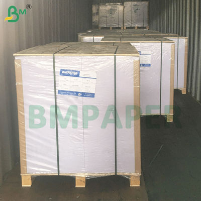 Microondas e forno PET revestimento de papel de taça Boa selagem