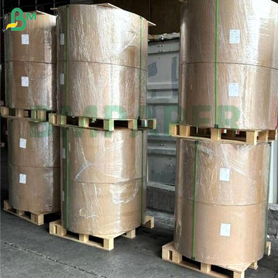 PET impermeável a gordura impermeável a água papel revestido branco de um lado 200gm 300gm 400gm Para caixas de refeições microondas