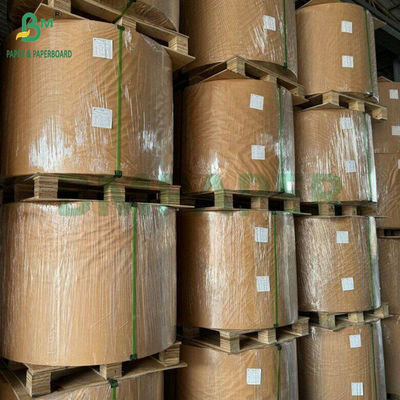 Oven Use 35gsm 40gsm Both Sides Silicone Covered Baking Paper for Cooking