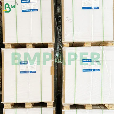 90GSM 100GSM Uncoated Sketch Paper Rolls for Professional Drawing