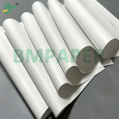 55 gm 60 gm Papel térmico em rolos Jumbo imprimível Largura 800 mm 900 mm